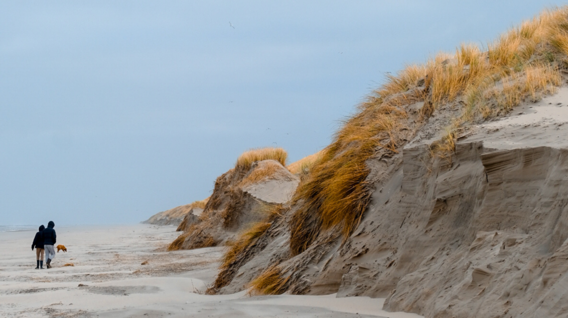 Strand - HARRY! by WestCord